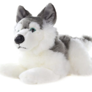 Plyš Husky
