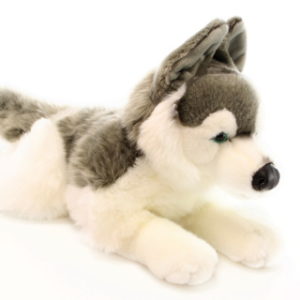 Plyš Husky